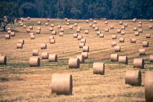 Drone Photography - Strathbogie Shire Farm Photography